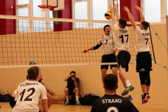 Herren 1.LL 2019 (AtterseeVolley, Ried/I. 2)